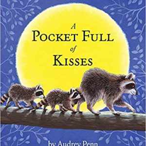 A Pocket Full of Kisses (The Kissing Hand Series) Hardcover